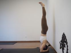 点击看大图 -Y+U遇瑜伽·普拉提