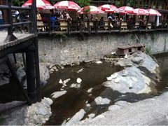 -北京水岸山吧度假村(雁栖镇店)