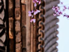 -三里河公园