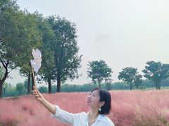 -汉长安城未央宫国家考古遗址公园