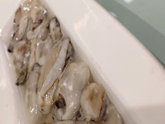 -龙福成肥牛火锅(文昌店)