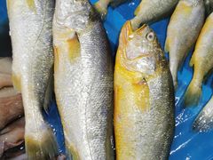 -鑫朱雀农贸批发市场