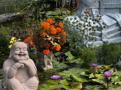 -南山植物园