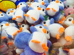 -宋记粥铺家常菜·米饭套餐·粤式早点(宽城万达店)