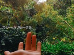 -广州兰圃