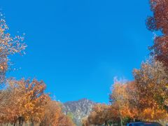 -百里山水画廊