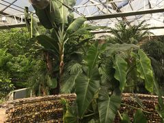 -陆地游轮吉林神农温泉