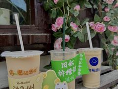 -猫的魔法密林(衣裳街店)