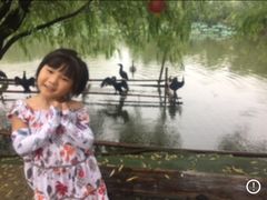 -长兴太湖图影湿地文化园
