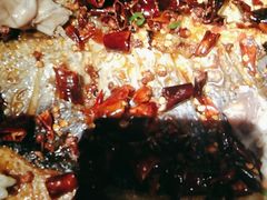 -令狐冲·炭烤活鱼(宝龙店)