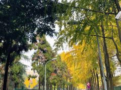-四川大学(望江校区)