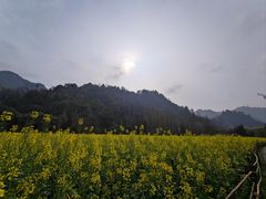 -贵阳市花溪国家城市湿地公园