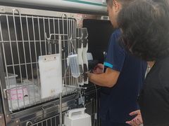 -美联众合动物医院·24h京西诊疗中心