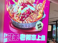 -老板恋上鱼(恒隆广场店)