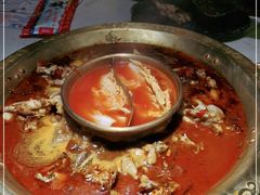 -哥老官重庆美蛙鱼头(圆融广场店)