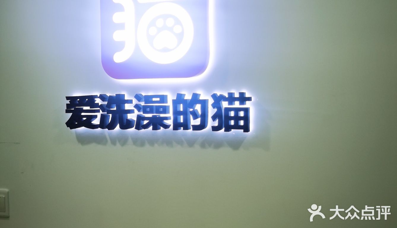 做个爱洗澡的猫吧
