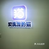 做个爱洗澡的猫吧