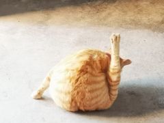 -恩宁刘福记(东华东路店)