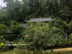 -广州神农草堂中医药博物馆