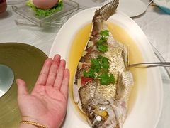 抱腌清蒸大白条-知味观(湖滨总店)