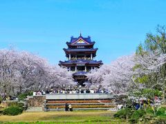 -渤公岛生态公园