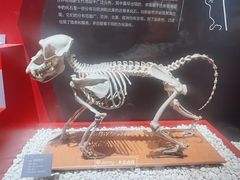 -国家自然博物馆