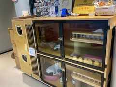 -御宝贝·A梦猫科宠物医院(国际猫友好医院)