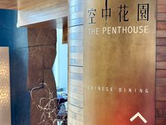 -广州富力君悦大酒店空中花园