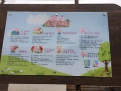 -田园东方蜜桃村的田野营地