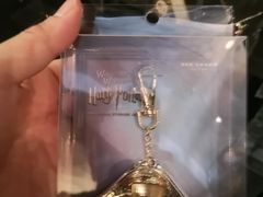 -哈利波特魔法世界