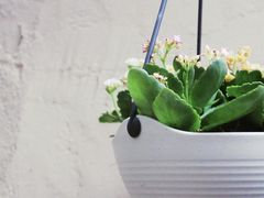 -长颈鹿咖啡(大学路店)