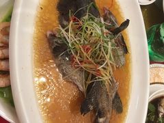 -金石国际大酒店·金丽自助餐厅