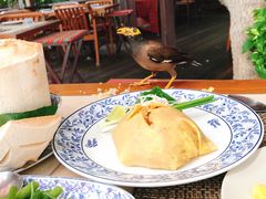 -卷心菜和避孕套餐厅(Pattaya)