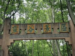 -灵谷景区