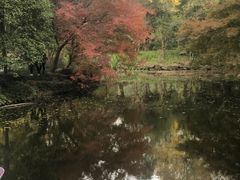 -秋霞圃