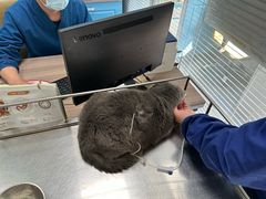 -天津前进宠物医院(前进道店)