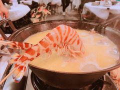 -鲜入围煮花胶鸡海鲜火锅