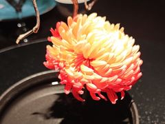 -大拙里·精致融合菜(沙湖桃源国际店)