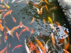 -厦门日月谷温泉渡假村