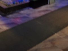 -青蓬蒸汽海鲜·深圳老字号·团建聚会(壹方城店)