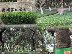 -黄埔荔枝公园