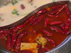 -麻田会 ·鲜活现烹·牛蛙火锅(珠江新城维家思广场店)