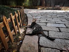 -西园戒幢律寺