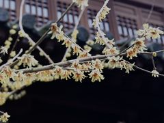 -慧因高丽寺