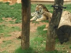 -昆明动物园