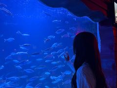 -太平洋海底世界