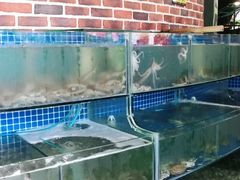-蟹谢蒸鲜自助餐厅