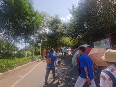 -神光山国家森林公园