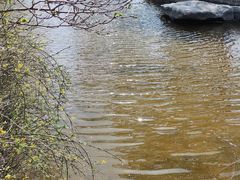 -济南国际园博园