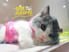 -乐宠宠物店(世纪金源店)